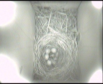 Image130.jpg