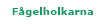 F&aring;gelholkarna