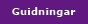 Guidningar