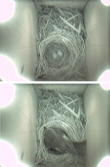 holken120522.jpg