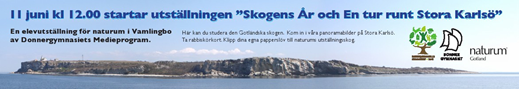 Annons för utställningen Annons-jpg.jpg