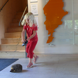 Elsa och igelkotten Lisa Elsa.JPG
